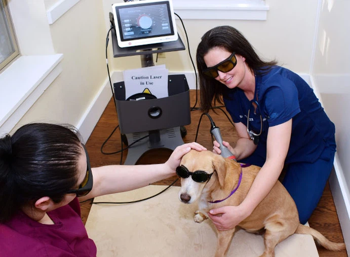 pets laser safety glasses pets laser safety glasses